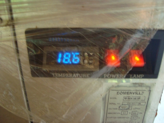 ตู้โชว์เค้ก      แอร์เย็น  มีไฟ 1 ดวง