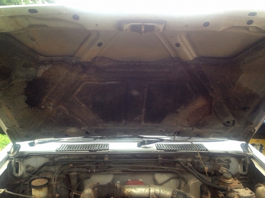 **80,000 บ.ต่อรอง**ขายฝาแดงตอนเดียว ราคาเบาๆ NISSAN BIG M BD25 ฝาแดงจอโค้งปี40/97 เครื่องเดิมเกียร์เดิม ฝาแดงยอดนิยม เครื่องดี นิ่มดี แน่น แรง อึด ประหยัด เกียร์ดีไม่หลุด ช่วงล่างดีคัสซีเดิม ไม่ปะไม่ดาม มีสนิมนิดๆ กระบะสภาพโอเค พื้นดี ข้างดี ฝาท้ายมีผุชาย **80,000 บ.ต่อรอง**ขายฝาแดงตอนเดียว ราคาเบาๆ NISSAN BIG M BD25 ฝาแดงจอโค้งปี40/97 เครื่องเดิมเกียร์เดิม ฝาแดงยอดนิยม เครื่องดี นิ่มดี แน่น แรง อึด ประหยัด เกียร์ดีไม่หลุด ช่วงล่างดีคัสซีเดิม ไม่ปะไม่ดาม มีสนิมนิดๆ กระบะสภาพโอเค พื้นดี ข้างดี ฝาท้ายมีผุชาย