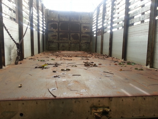 ขายลูก2เพลา2ตัว สหะกิจ กะ ส สมบัติ ดั้ม