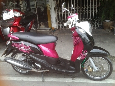 ฟีโน่ปี2553