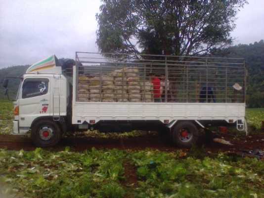 ขายด่วน ! รถบรรทุก 6 ล้อใหญ่  HINO MEGA FG1JMPA  ปี47