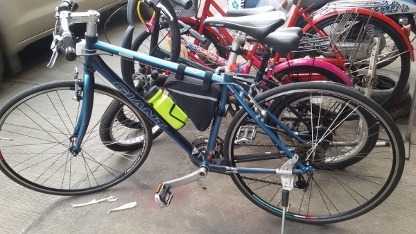 ฟิกเกียร์ GIANT