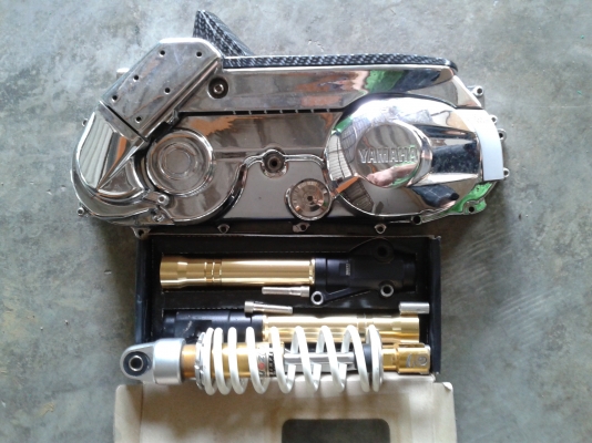 ขายFino Limited Edition