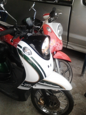 ขายฟีโน่เกแยกสวยๆ