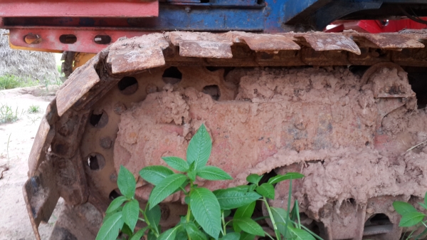 ขาย รถเกี่ยวข้าว ไทยเส็งยนต์ มดตะนอย ตัวเดิน12เอวสวิง ปั๊มใหม่ไดกิ้น23 เครื่อง ฮีโน่ HO7D TURBO สภาพพร้อมใช้งาน อุ้ม