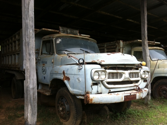 ขายรถ 6 ล้อ 10 ล้อ หน้ายาว หน้าตัด จำนวน 7 คัน ISUZU รถสะภาพเดิมขายเหมา หรือ แยกคันก็ได้ ราคาย้อมๆสนใจจองด่วน