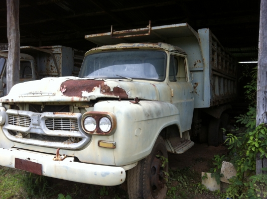 ขายรถ 6 ล้อ 10 ล้อ หน้ายาว หน้าตัด จำนวน 7 คัน ISUZU รถสะภาพเดิมขายเหมา หรือ แยกคันก็ได้ ราคาย้อมๆสนใจจองด่วน