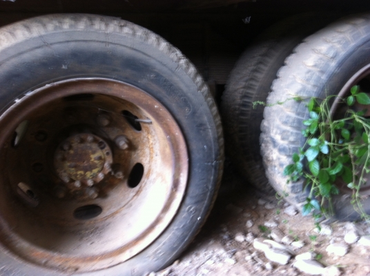 ขายรถ 6 ล้อ 10 ล้อ หน้ายาว หน้าตัด จำนวน 7 คัน ISUZU รถสะภาพเดิมขายเหมา หรือ แยกคันก็ได้ ราคาย้อมๆสนใจจองด่วน