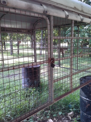 ขายหลังคา 6 ล้อ