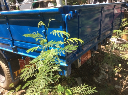 ขาย ISUZU NPR115 รถห้างแท้ เครื่องดี ขับดี ครัทซีสวย ขาย 375,000 บาท