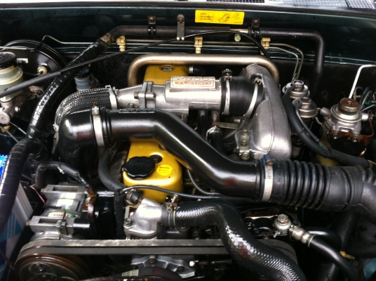 ดรากอนสวยๆพร้อมใช้