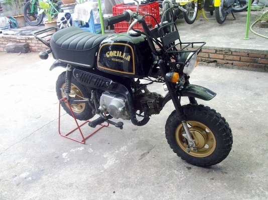 **** ขาย Honda Gorilla ปี 1985 มือสองญ๊๋ปุ่น ***