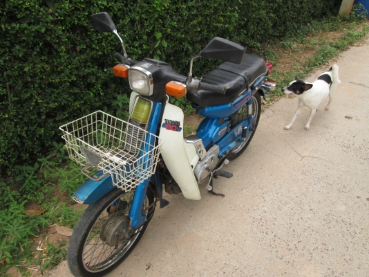 YAMAHA Y80M ทะเบียน+โอน