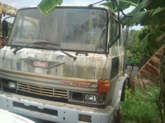 ขายฮีโน่  หัว  คัทซี