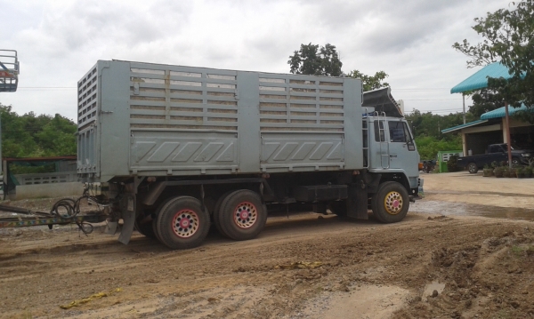 ขายนางฟ้า 240 ปี39 แท้ดั๊มสามมิตรเดิม