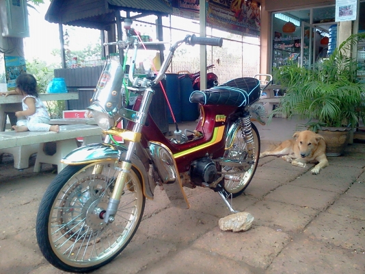 หลุดจองครับ ชาลี เครื่องเวฟ 110 สภาพดีขี่ได้ปกติ (เปลี่ยนท่อกับชุบฝาเครื่องก็หล่อเลยครับ) ไม่มี ท.บ แต่มีใบซื้อ-ขายให้ครับ ค่าตัว 14,500 บาท สนใจโทรสอบถาม 089-8054390 โอ๋ ลพบุรี