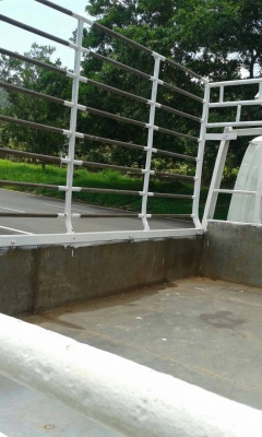 รถ6ล้อ กระบะคาโก้ ยี่ห้อ ISUZU NKR ปี49