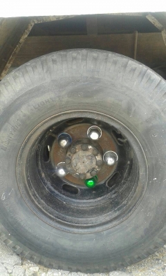 รถ6ล้อ กระบะคาโก้ ยี่ห้อ ISUZU NKR ปี49