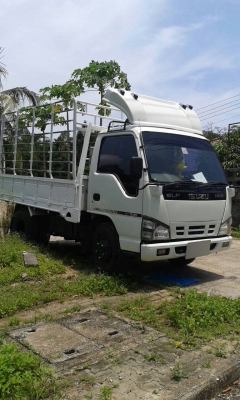 รถ6ล้อ กระบะคาโก้ ยี่ห้อ ISUZU NKR ปี49