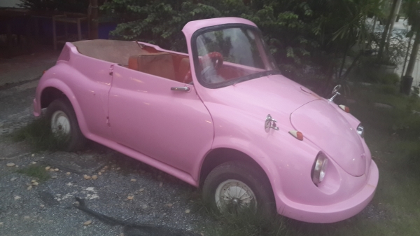 ขายรถเต่าทองญี่ปุ่น น่ารักน่ารักให้คนรักจริงไปดูแลต่อ