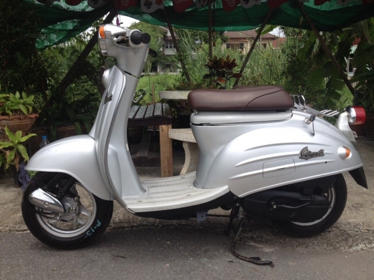 ขาย suzuki vredy 50cc