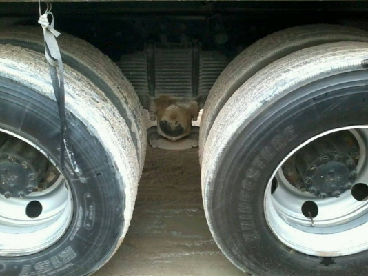 ***ขายแล้วครับขอบคุณ Truck2hand ขาย22ล้อพ่วงดั้มแม่ลูก สวยๆ HINO MEGA SERIE500 330 ปี54 FM1ANKD AO9C-330HP เครื่องเดิมเกียร์เดิม แห้งจัด แรงจริง ไม่มีเยิ้ม ช่วงล่างเดิมคัสซีสวยเดิมๆไม่มีบวม กระบะดั้มเหล็ก SMM สภาพสวย พื้นสวยข้างสวยไม่มีโก่งไม่มีบวม ดั้มดี