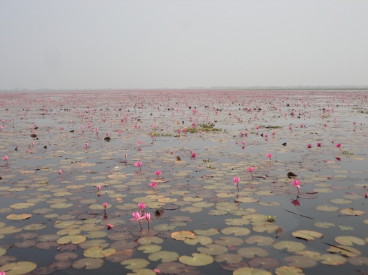 ข า ย แ ล้ ว ข อ บ คุ ณ ผู้ ซื้ อ แ ล ะ TRUCK2 HAND