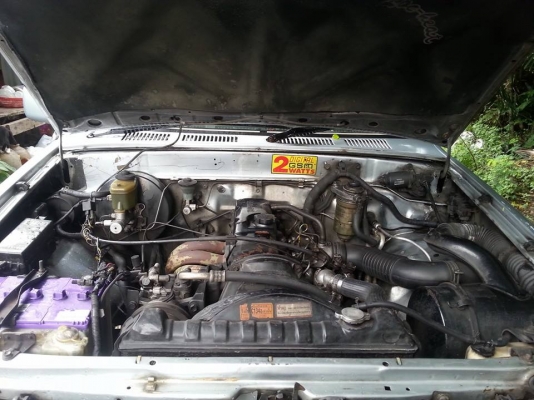 ขาย ไมตี้ แคป 99000