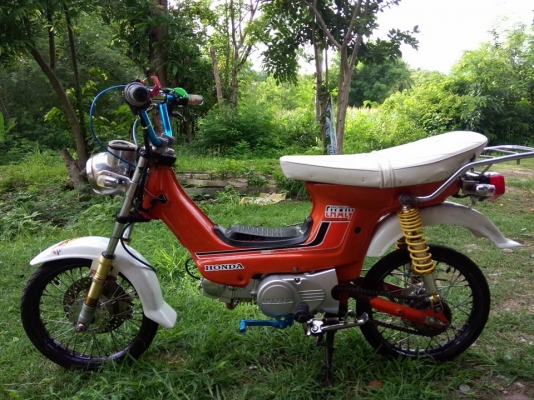 ขายชาลี เครื่องไลฟาน 110 ท่อสูตรเสียงพราะ