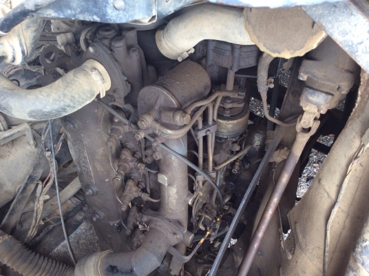 ดัมหัวยาว พร้อมโอน ถูกๆมาอีกแล้วจ้าา!!