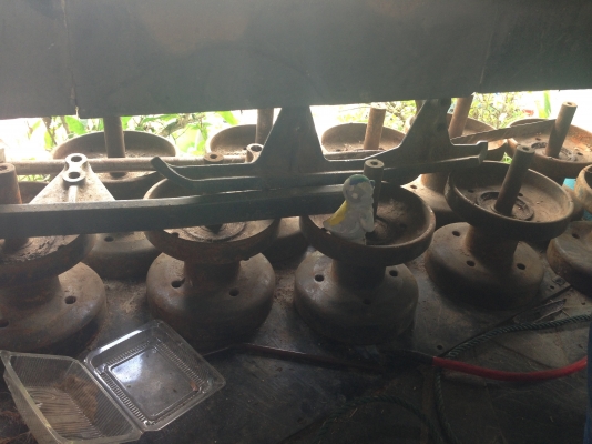 ขายรถเกี่ยวข้าว