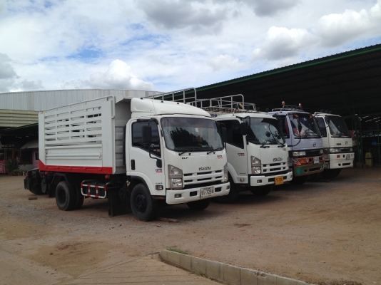 มีรถบรรทุกสภาพสวยหลายคันให้เลือกครับ มีทั้งดั้มพ์ดิน ดั้มพืเกษตร คตอกสูง หลายราคาหลายรุ่นให้เลือกครับ มีไฟแนนซ์รองรับ ทุกคัน รับประกัน เครื่อง เกียร์ แอร์ เฟืองท้าย ระบบไฟ 30 วัน ครับ สนใจติดต่อ