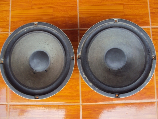 ขายดอกลำโพงโบราณ แม่เหล็กอะนิโก้ ขายดอกลำโพงโบราณ แม่เหล็กอะนิโก้