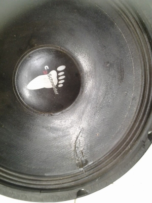 ชไนเดอร์ 12 นิ้ว ว้อยเดี่ยว ไม่กินวัต เบสนุ่มลึก ถูกๆ