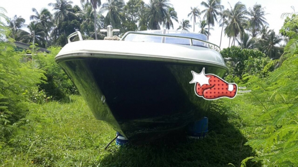 ขาย เรือเร็ว