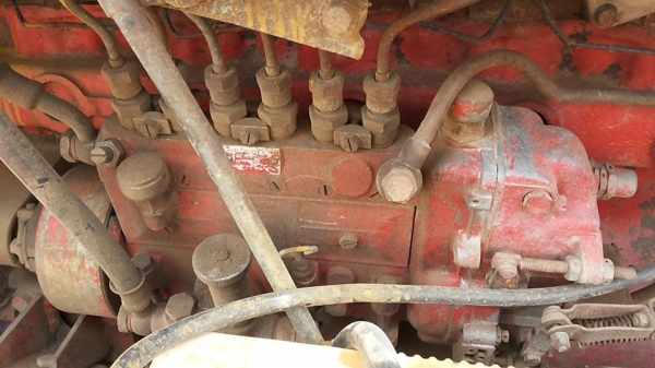 **155,000 บ.ต่อรอง**ขายรถไถเพลาเดียว FORD 5000 รุ่นรวงข้าว วางเครื่องHINO EC100-145แรง 6สูบ เครื่องแรงๆ แห้งๆ ไม่เยิ้ม ปั้มดีแรง เกียร์เดิม เข้าง่ายไม่หลุด ระบบไฮฯ ใช้งานได้ปกติ บิ้วใหม่ เช็คใหม่ สีสันดี บอดี้สวย ยางดี4เส้น อุุปกรณ์ พร้อมทำงาน 2ชิ้น สภาพด