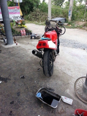 ขาย HONDA VFR400cc. NC30 ทะเบียนโอน รถเดิมๆเครื่องดีมากพร้องใช้งานยาวๆ ราคา64,888 บาทต่อรองได้ครับมาดูรถได้ที่ สุพรรณบุรี สนใจติดต่อ 092-6429114 ครีม สุพรรณ ขาย HONDA VFR400cc. NC30 ทะเบียนโอน รถเดิมๆเครื่องดีมากพร้องใช้งานยาวๆ ราคา64,888 บาทต่อรองได้ครับมาดูรถได้ที่ สุพรรณบุรี สนใจติดต่อ 092-6429114 ครีม สุพรรณ