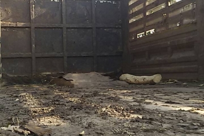 deca 360 ขายดาวน์แม่ลูก deca 360 ขายดาวน์แม่ลูก