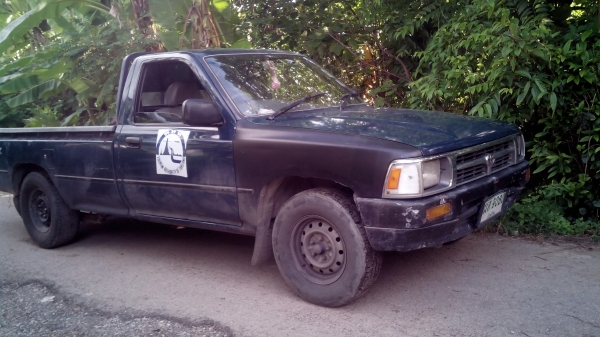 ขาย ไมตี้ x หัวเดี่ยว