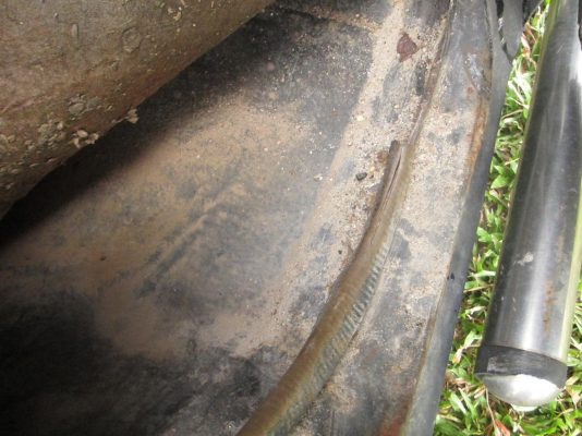 ขายรถตู้ Nissan