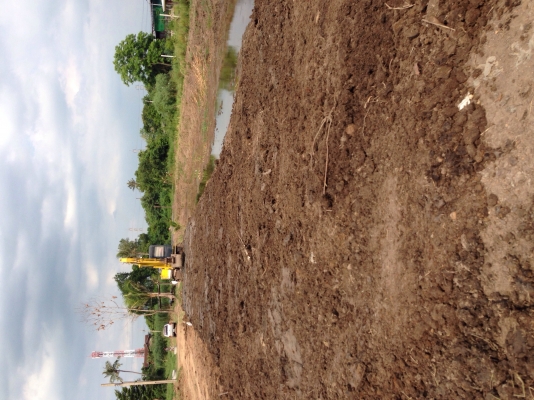 ขายโกเบ SK120-3