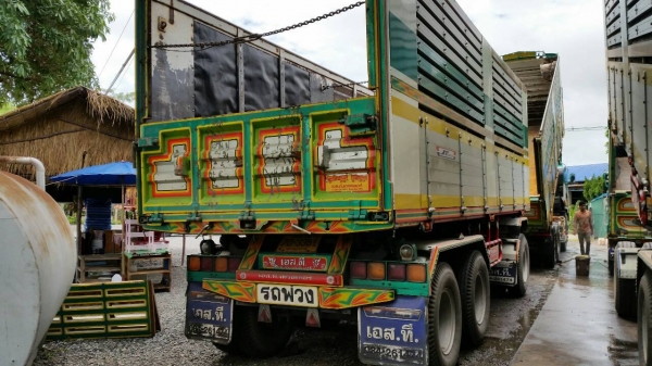 ISUZU FXZ 360 2 เพลา  แม่ลูกดั๊มพ์ 3 เพลา