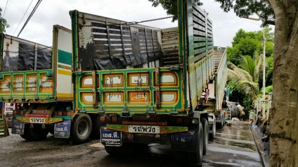 ISUZU FXZ 360 2 เพลา  แม่ลูกดั๊มพ์ 3 เพลา