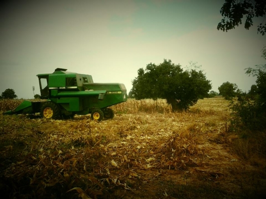 No.00097 รถเกี่ยวข้าวโพด พร้อมหัวจอร์นเดียร์