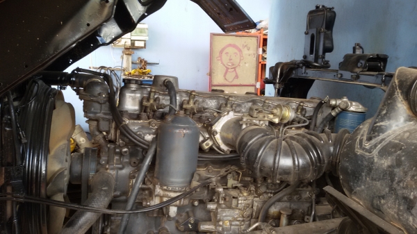 ขายไอ้หลงMAสวยๆ