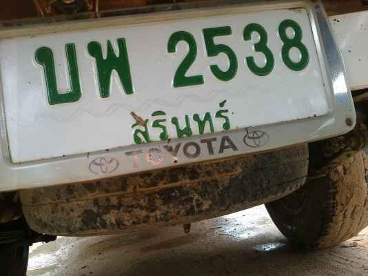 ไมตี้แคบ สวยเดิม ๆ