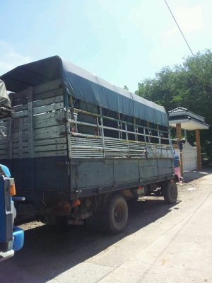 ขาย Hino KM กับ หกล้อเล้ก
