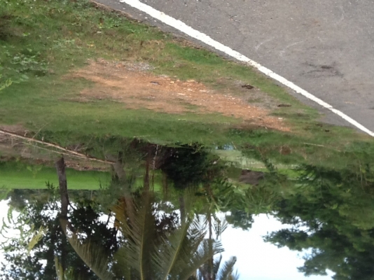 ขายที่ริมบึงด้านหน้าติดถนนลาดยางน้ำไม่ท่วมไร่ละ700000฿มี4ไร่(2800000บาท)