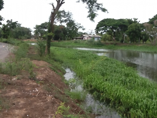 ขายที่ริมบึงด้านหน้าติดถนนลาดยางน้ำไม่ท่วมไร่ละ700000฿มี4ไร่(2800000บาท)