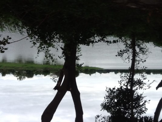 ขายที่ริมบึงด้านหน้าติดถนนลาดยางน้ำไม่ท่วมไร่ละ700000฿มี4ไร่(2800000บาท)